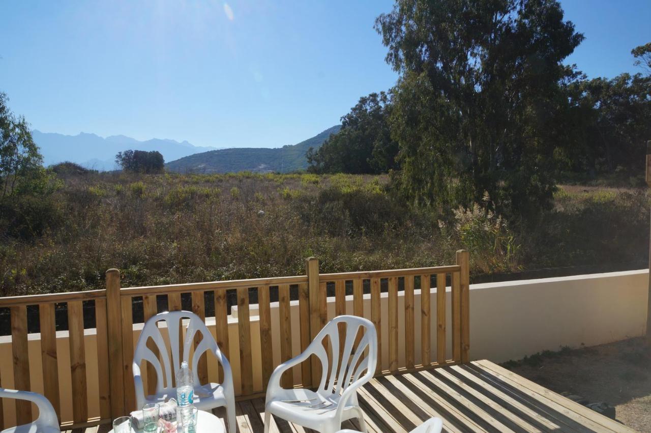 Camping International Calvi  Exterior foto